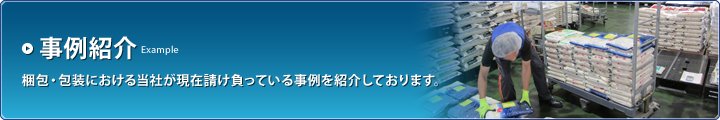 事例紹介